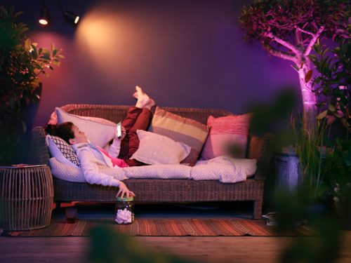 Hue Lily Outdoor Spot light Extension Standard | Philips Hue Hue Lily Outdoor Spot light Extension Standard | Philips Hue