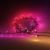 Festavia Lichterkette 20m