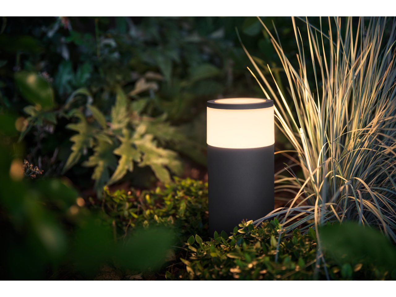 Calla pedestal light | Philips Hue