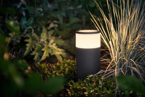 A cylindrical outdoor smart light with a dark base and illuminated top placed among garden plants, casting light on nearby foliage.