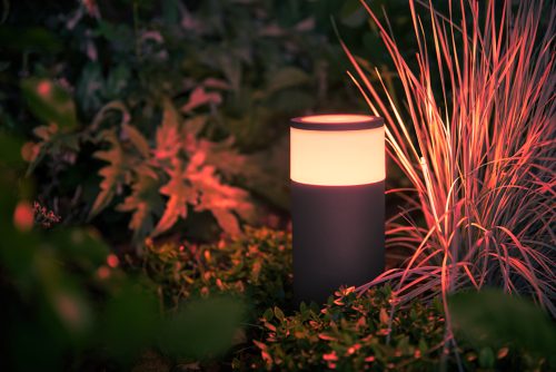 Outdoor cylindrical smart light with a dark base and illuminated top, placed among garden plants and casting light onto nearby foliage.