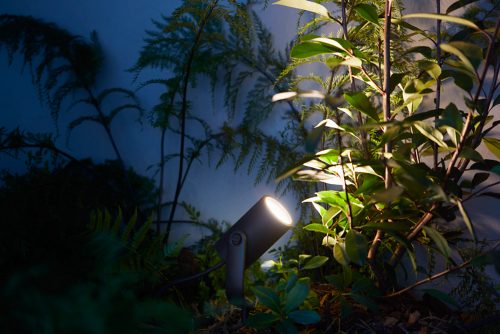 Outdoor spotlight positioned in soil, illuminating green foliage and branches against a wall focused light highlights plant details.