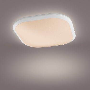 Philips CBL10 Lampada Da Lavoro A LED – Compatta Con Cavo 5 M, 330 Lumen, Impermeabile IP54, Resistente A Urti E Solventi, Gancio Girevole 360° Per Ispezioni E Manutenzione