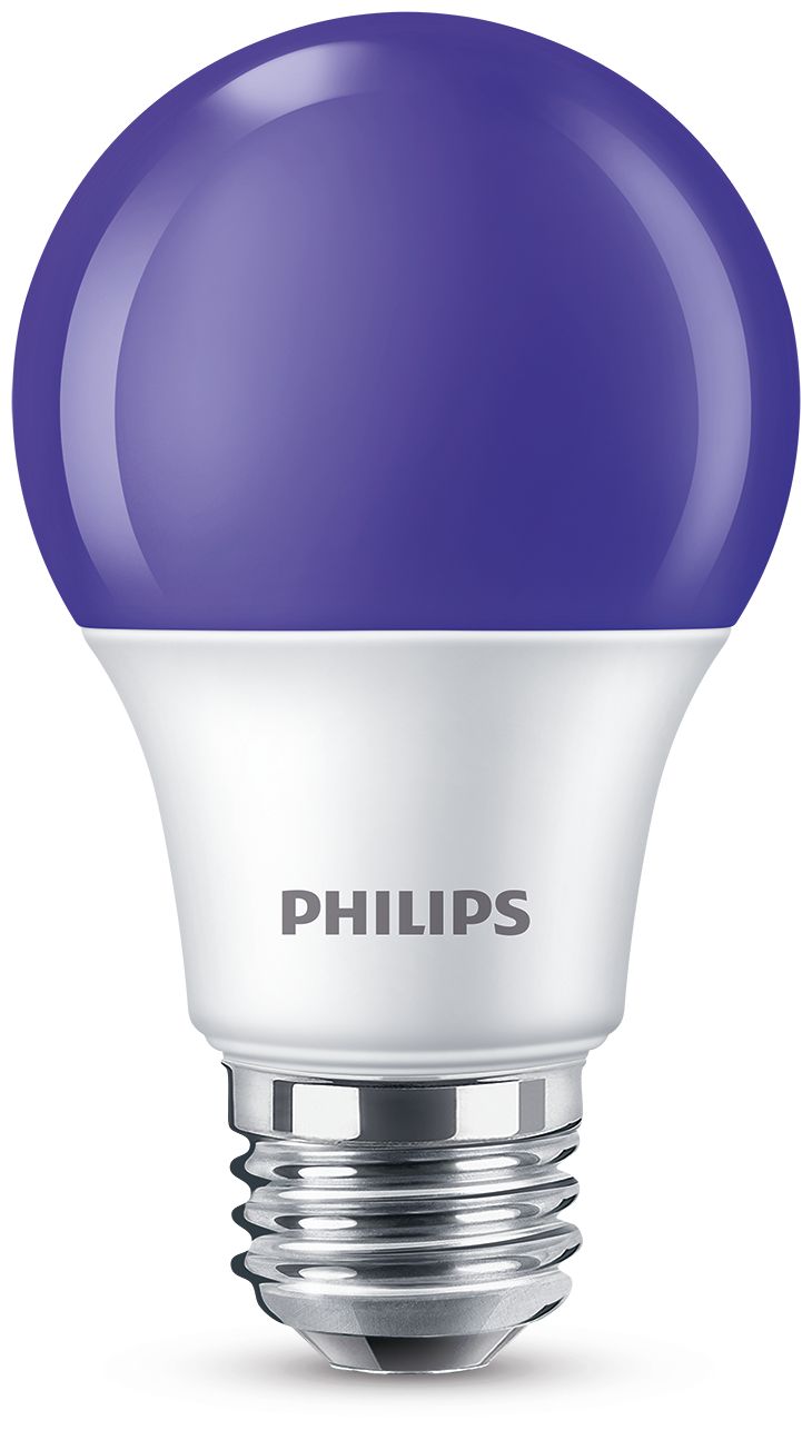 BC8A19/LED/PURPLE/ND 120V