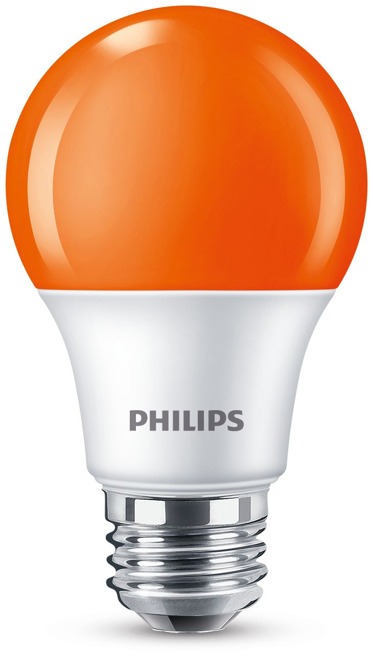 8A19/LED/ORANGE/P/ND 120V 6/1BC
