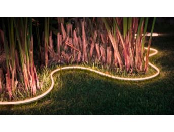 Flexible light strip to shape and bend