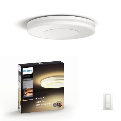 An image of product of the Being ceiling light