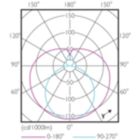 Light Distribution Diagram