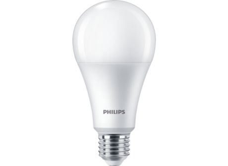 Standard LEDBulb 18W E27 6500K W A23 1PF/6 MX