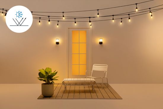 Outdoor Light Wall Light | WiZ