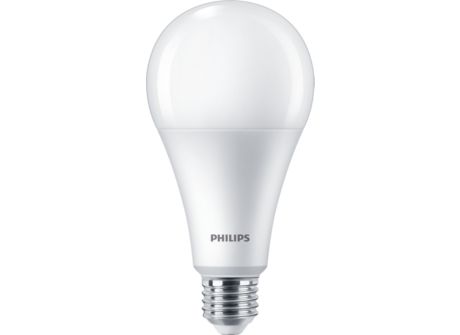 Standard LEDBulb 22W E27 6500K W A25 1PF/6 MX