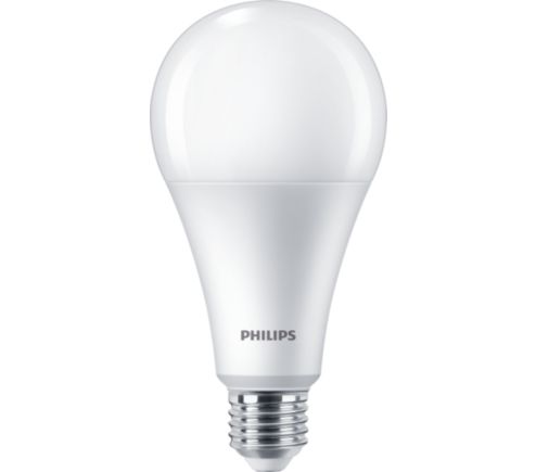 Standard LEDBulb 22W E27 6500K W A25 1PF/6 MX