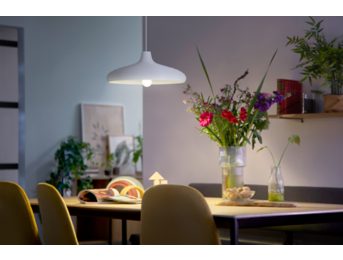 Dezelfde vorm en grootte als een standaard halogeenlamp