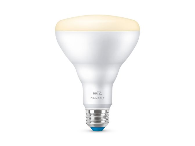 main.alt.text.RTP.LED Lamp Reflector BR30 E26