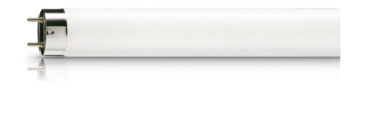 Product Description