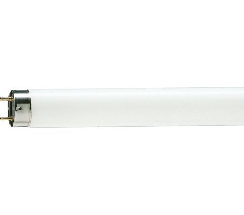 MASTER TL-D 90 Graphica 36W/952 1SL/10