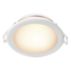 智能 LED 3 英寸嵌入式筒灯 4W