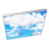 LED Graphic Ceiling Illuminator RVGC