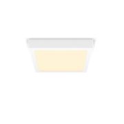 Philips (PHL) Plafondlampen Magneos plafondverlichting, 12 W, vierkant