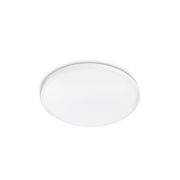 Ceiling Lights Twirly Ceiling Light 17W