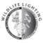 Wildlife Lighting