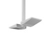 ASYX 2 LED Asymmetric Floodlight - Dual Pendant
