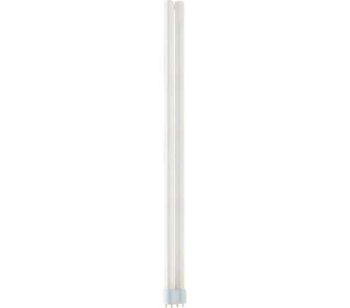 MASTER PL-L Polar 55W/840/4P 1CT/25