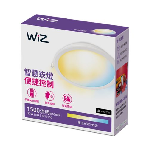 嵌燈 6 吋內嵌式下照燈 17W