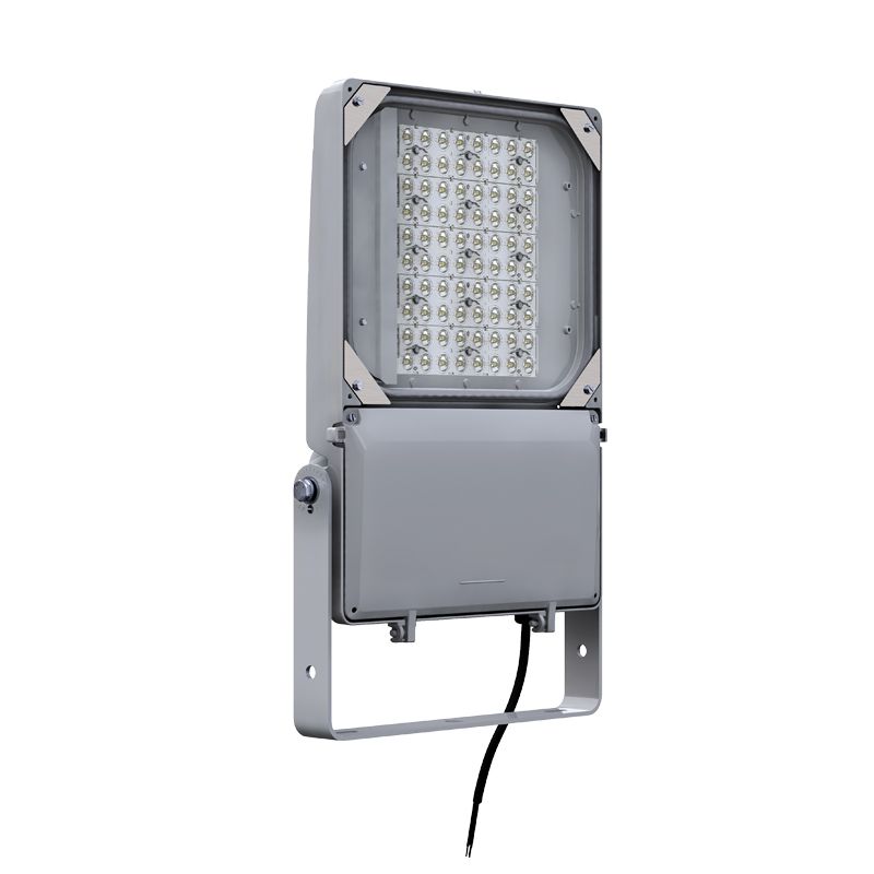 DuraForm LED floodlight Medium FLDM