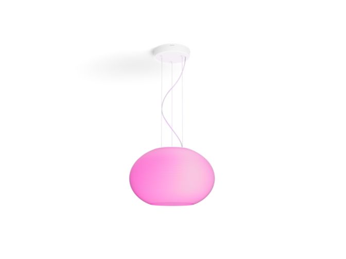 An image of product of the Flourish pendant light