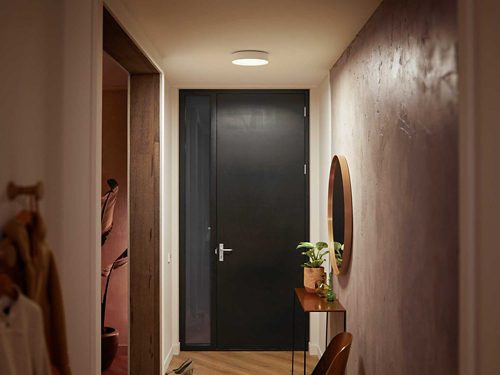 Ceiling-mounted round smart light fixture illuminating a hallway with a console table, potted plant, and wall-mounted mirror.