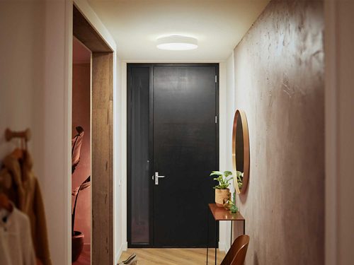 Ceiling-mounted round smart light fixture illuminating a hallway with a console table, mirror, and potted plant below.
