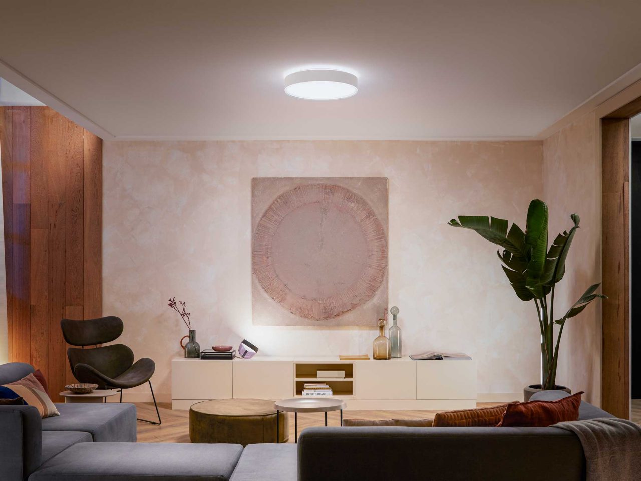 Hue Enrave Large Ceiling Light White - White Ambiance | Philips Hue, image size:1280x960