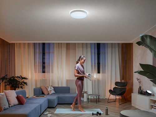 Enrave large ceiling lamp