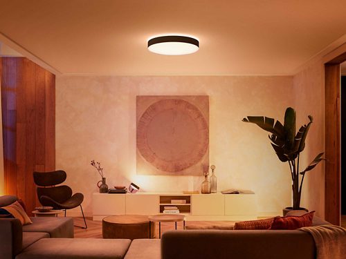 Hue White Ambiance Enrave Deckenleuchte XL schwarz + Dimmschalter