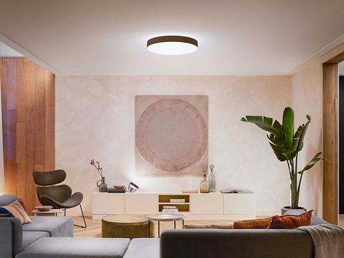 Hue White Ambiance Enrave Deckenleuchte XL schwarz + Dimmschalter