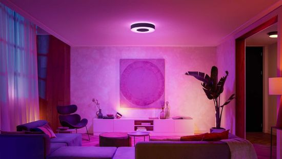 Philips Hue Plafonnier LED Being (27 W, Ø x h: 34.8 x 5.1 cm, noir/blanc)