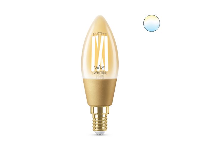 main.alt.text.RTP.LED-lamp Filament amber C35 E14