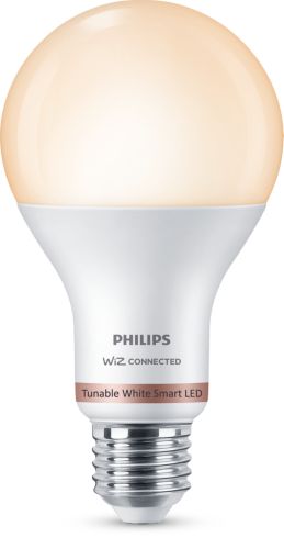 Bombilla Philips A67 Led E27 1600l 13w (929002471901) - Innova Informática  : Iluminacion LED