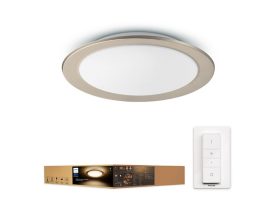 Muscari ceiling light