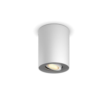 An image of product of the Hue White Ambiance Ext. spot unique Pillar