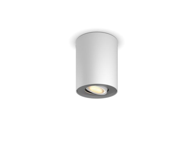 German:An image of product of the Pillar Einerspot erw.