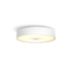 Hue White ambiance Fair 吸頂燈