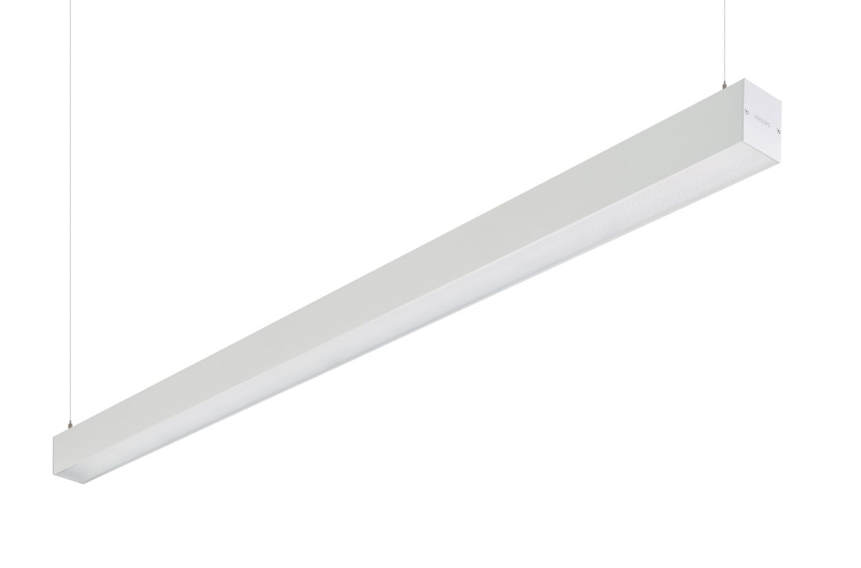 The flexible light line