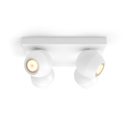 An image of product of the Buckram Viererspot