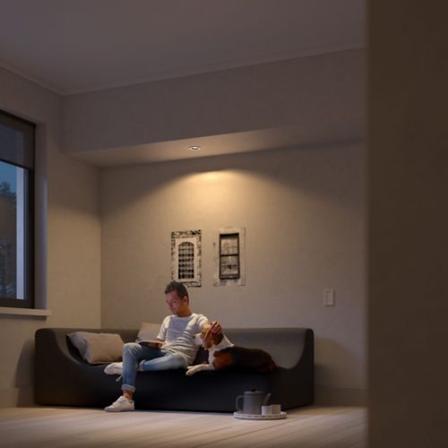 Person sitting on a sofa reading, with a dog beside them, illuminated by ceiling light in a modern living room setting.