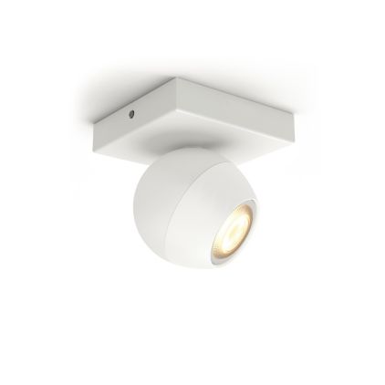 German:An image of product of the Buckram Einzelspot weiß + Dimmschalter
