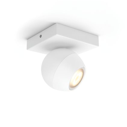 Close up of front of Buckram single spotlight ext.