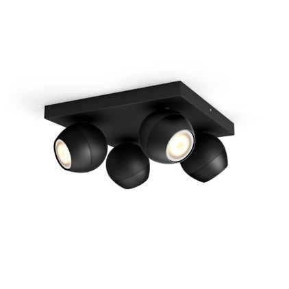 German:An image of product of the Buckram Viererspot schwarz + Dimmschalter