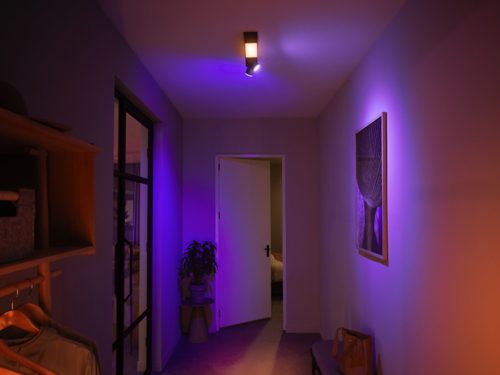 Hue White and Color Ambiance Dvojité bodové stropní svítidlo Centris
